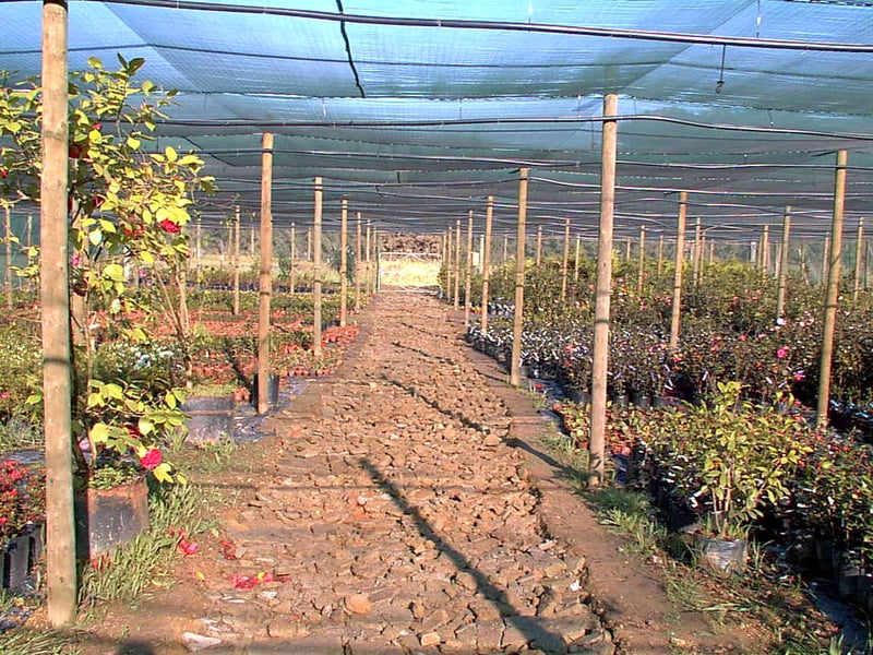 Alnet Agri Shadecloth Projects preview 4